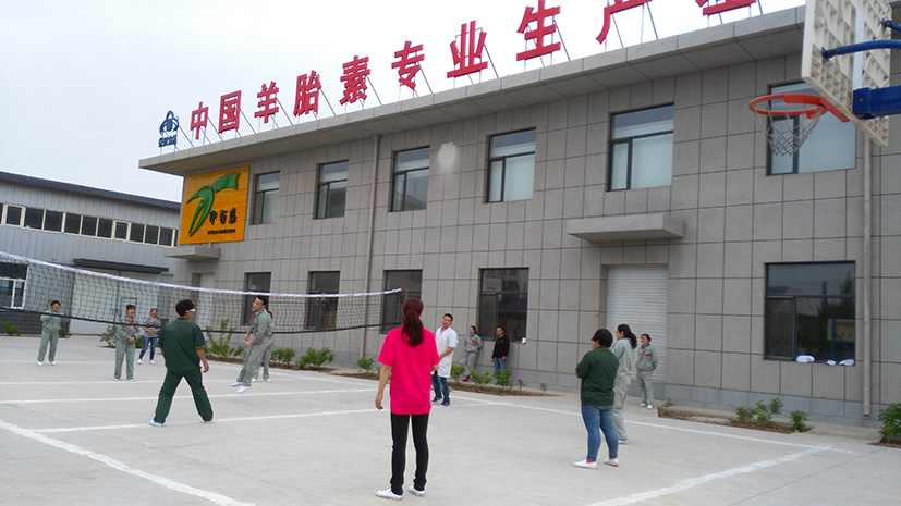 銀川伊百盛生物工程有限公司 銀川伊百盛生物工程有限公司