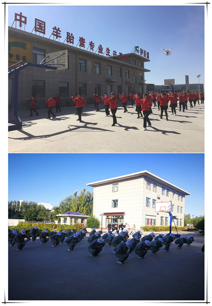 銀川伊百盛生物工程有限公司 銀川伊百盛生物工程有限公司