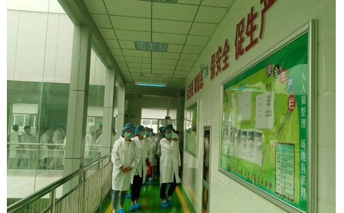 值公司成立十周年慶典，公司贊助萬(wàn)名老人免費(fèi)游寧夏系列活動(dòng)