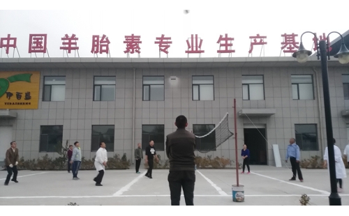 排球傳溫情，員工齊聚心