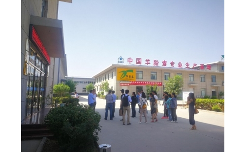 江南大學(xué)、寧夏大學(xué)課題組專家蒞臨伊百盛調(diào)研交流