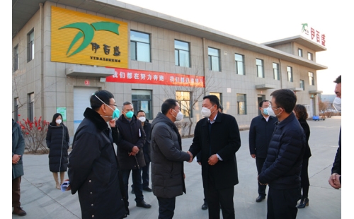 銀川市金鳳區(qū)委書記郝春明、區(qū)長張濤一行蒞臨銀川伊百盛參觀調(diào)研